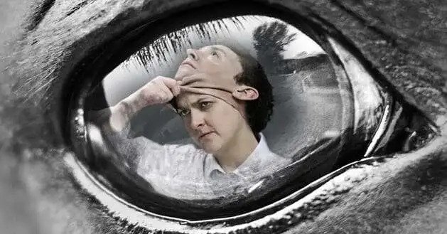 Avoid-Buying-or-Faking-Reviews