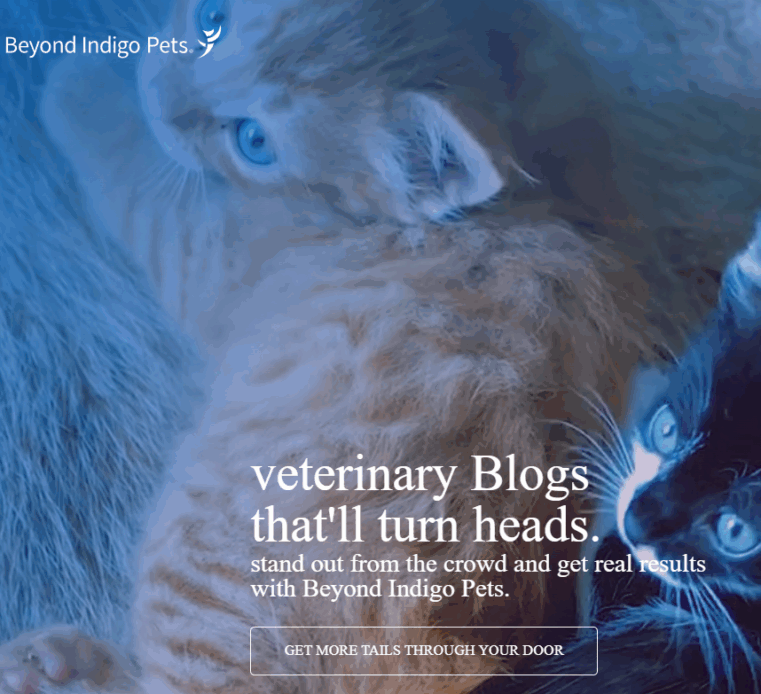Beyond Indigo Pets