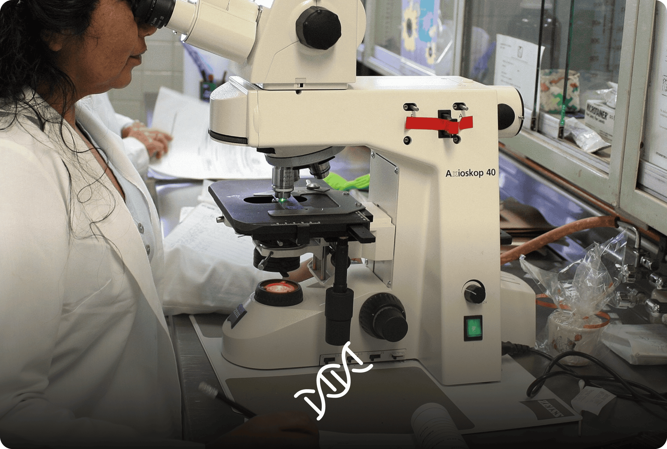 DNA Testing Center website preview