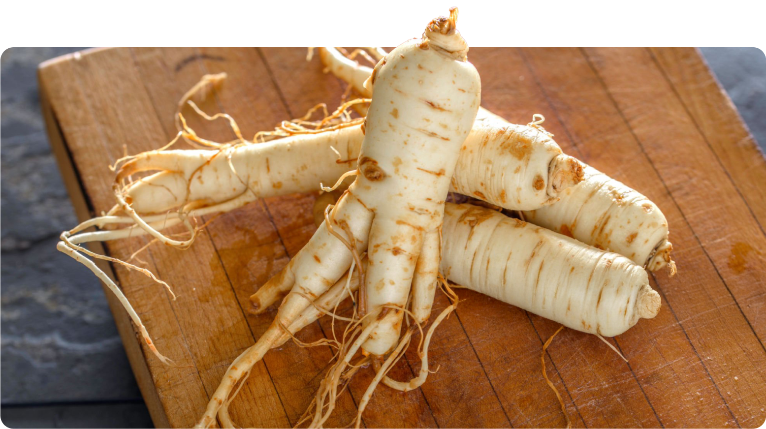 Ginseng Grower banner