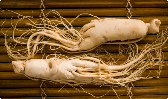 Ginseng Grower execution