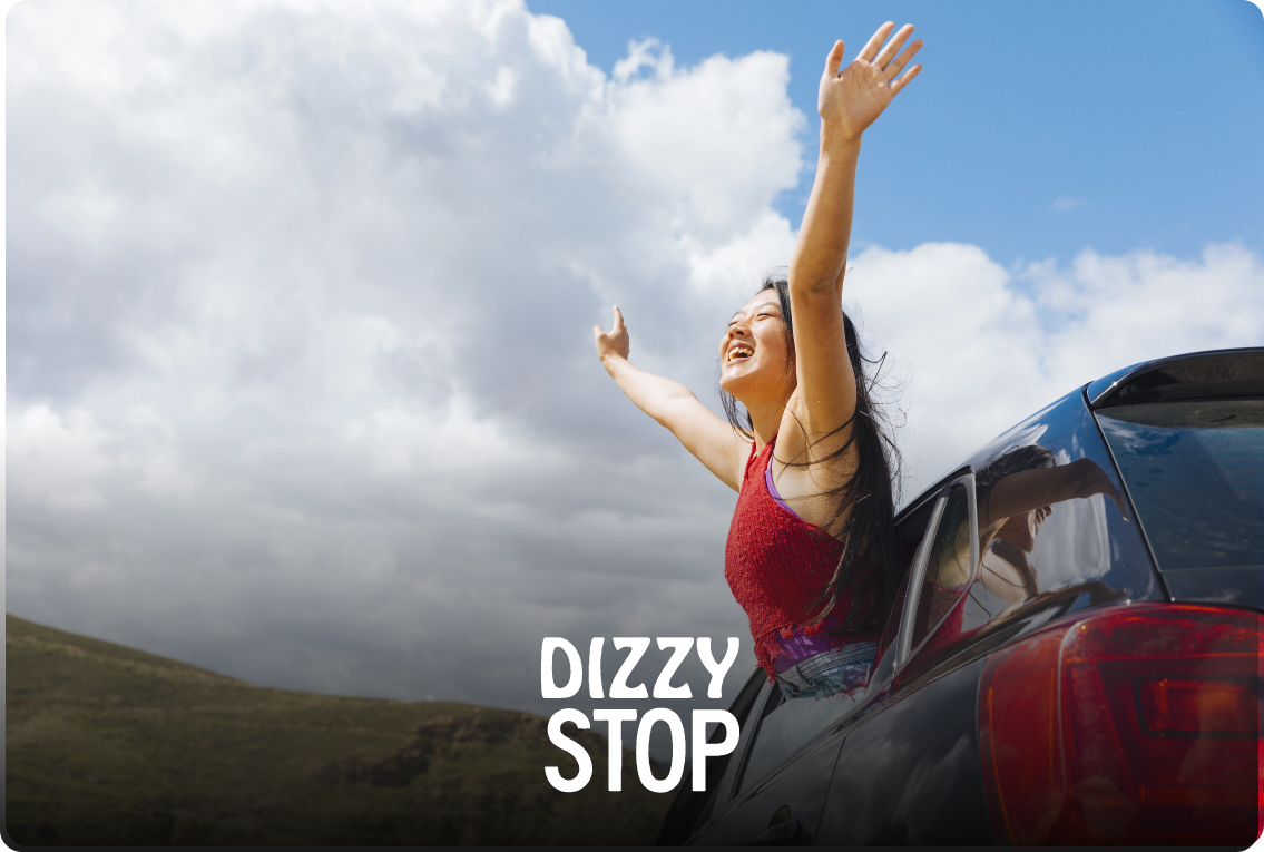 Dizzy Stop website preview