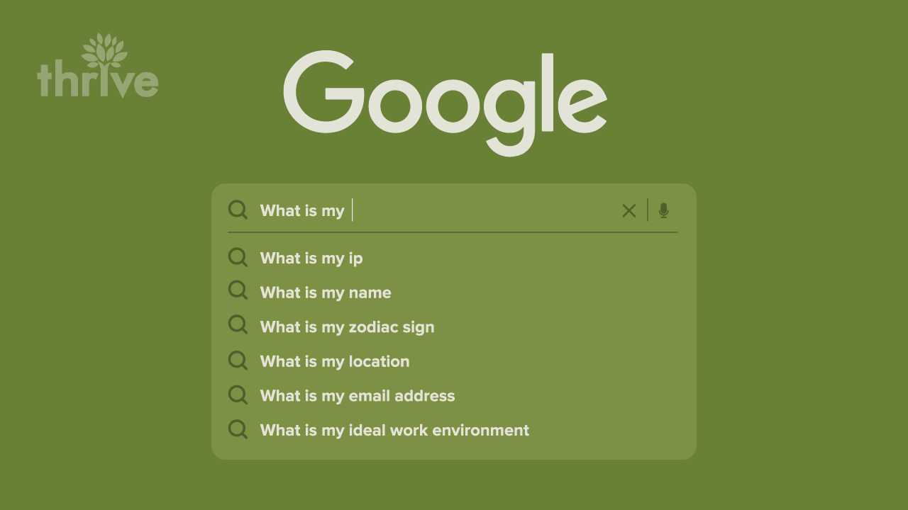 Searches in the search bar done without autocomplete show “No