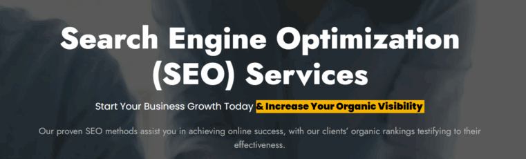 Seattle Organic SEO
