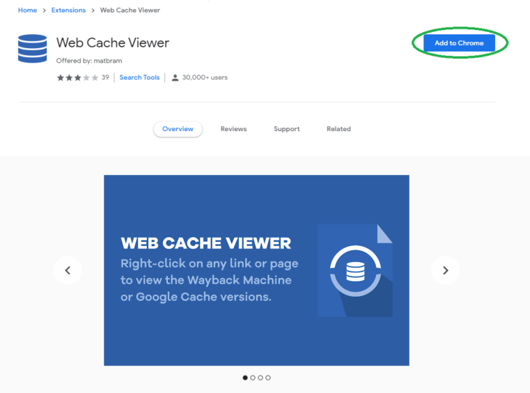 Web Cache Viewer Extension