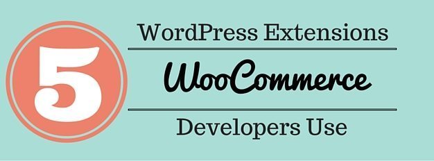 WordPress Extensions WooCommerce Developers Use