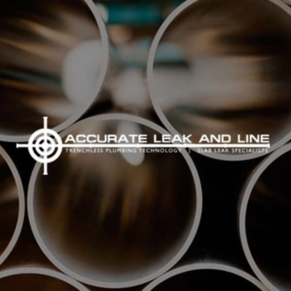 Accurate Leak and Line Website Design