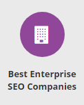 Best Enterprise SEO Company