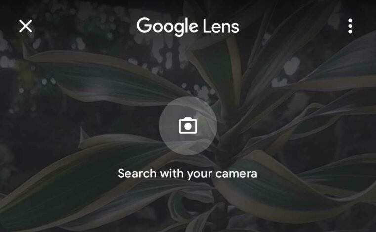 Google Lens app