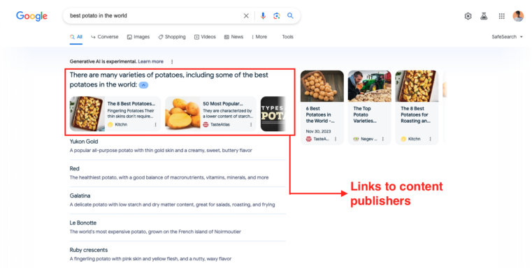 AI-Generated Summaries