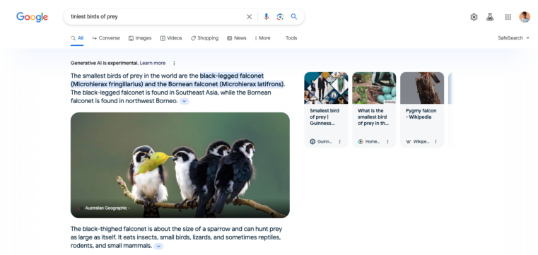 AI-Generated Summaries 1