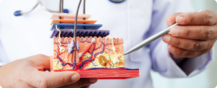 locationderma-overview