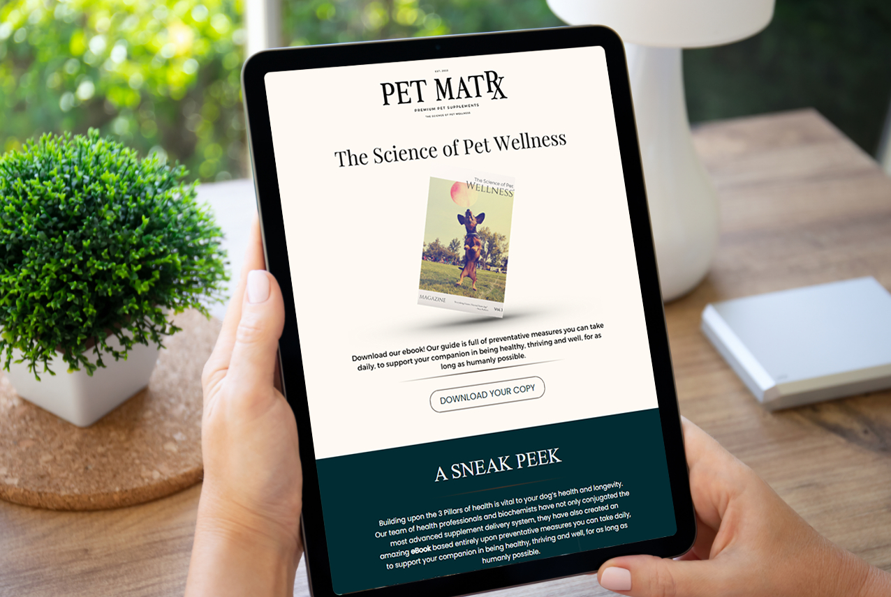 petmatrx-4