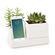 succulent phone dock desk gift