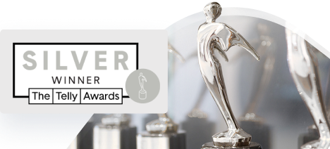 Silver Telly Award 