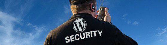 WordPress Security