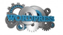 wordpress designers
